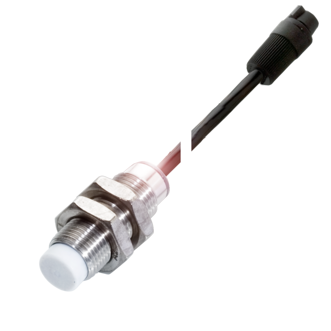 Balluff. BCS M12T4D1-XXS80G-EP02-GZ01-002 - BCS0019