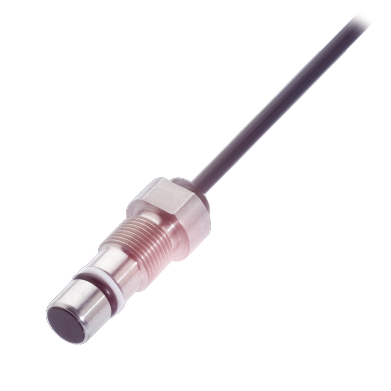 Balluff. BES 516-300-S205-D-PU-05 - BHS0029