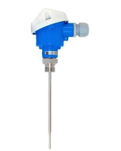 Endress Hauser Omnigrad T TST41NModular RTD thermometer