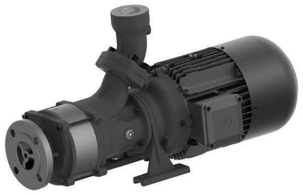 Горизонтальный всасывающий насос SBG802 Brinkmann