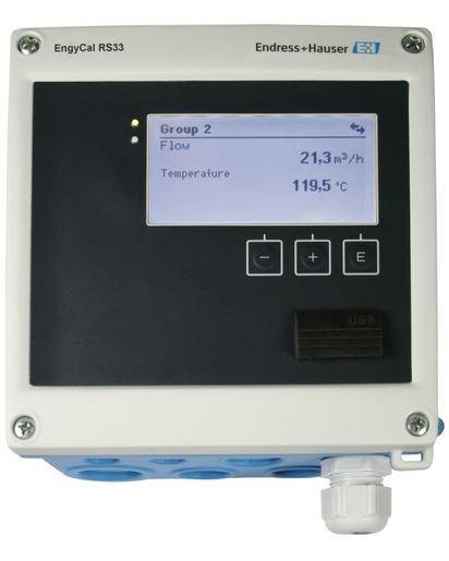 Endress Hauser RS33