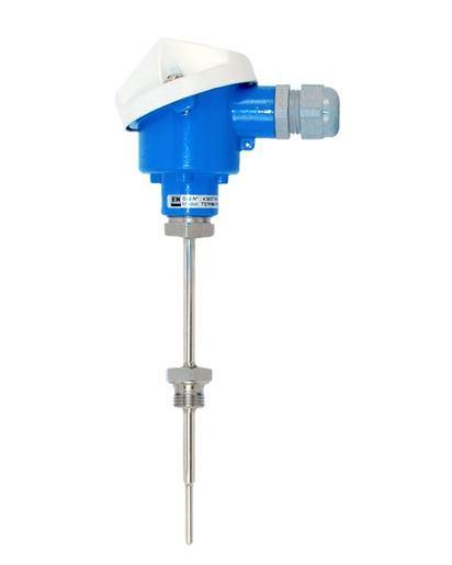 Endress Hauser Omnigrad T TST40NModular RTD thermometer