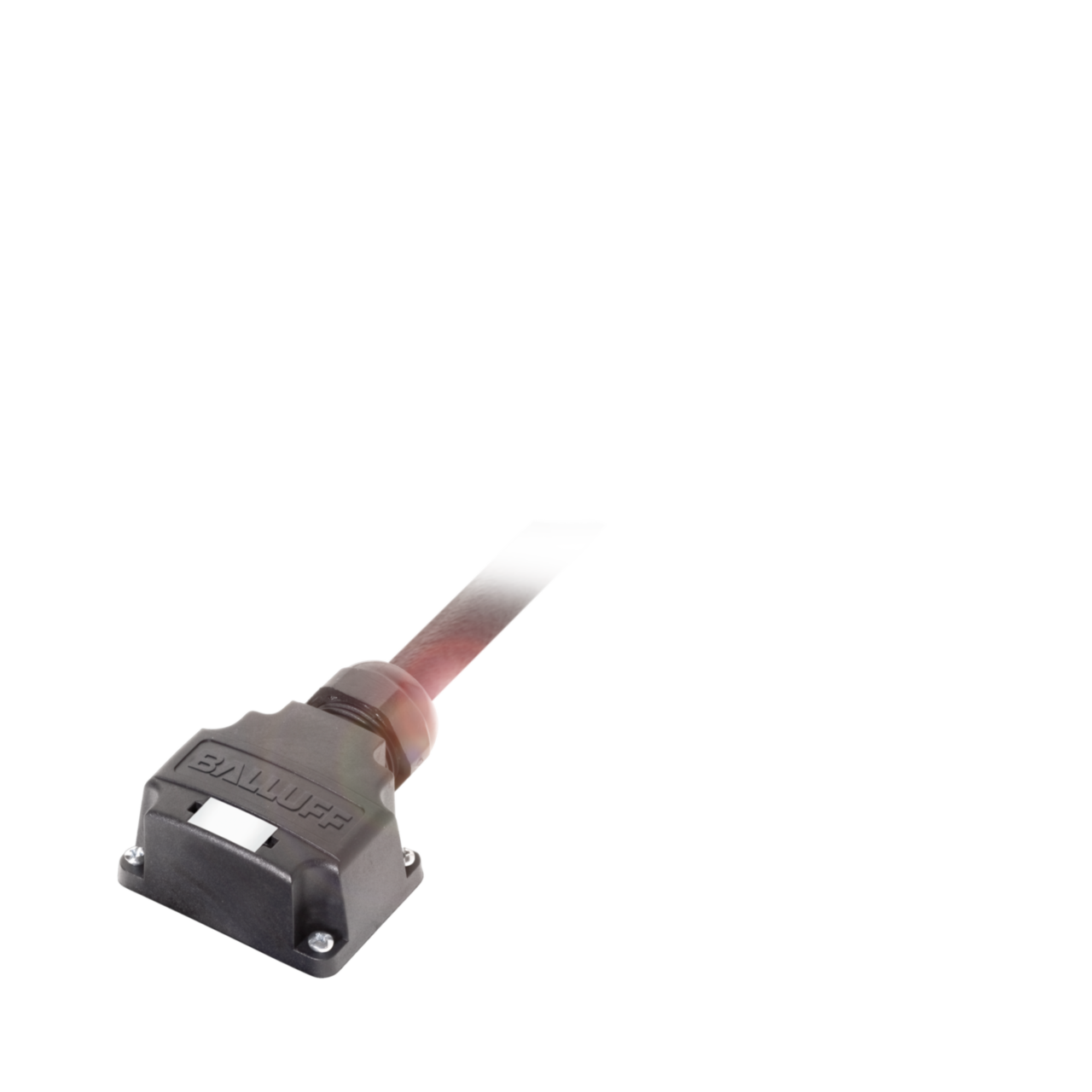 Balluff. BPI T00E-K-00-KPXB0-050 - BPI0084
