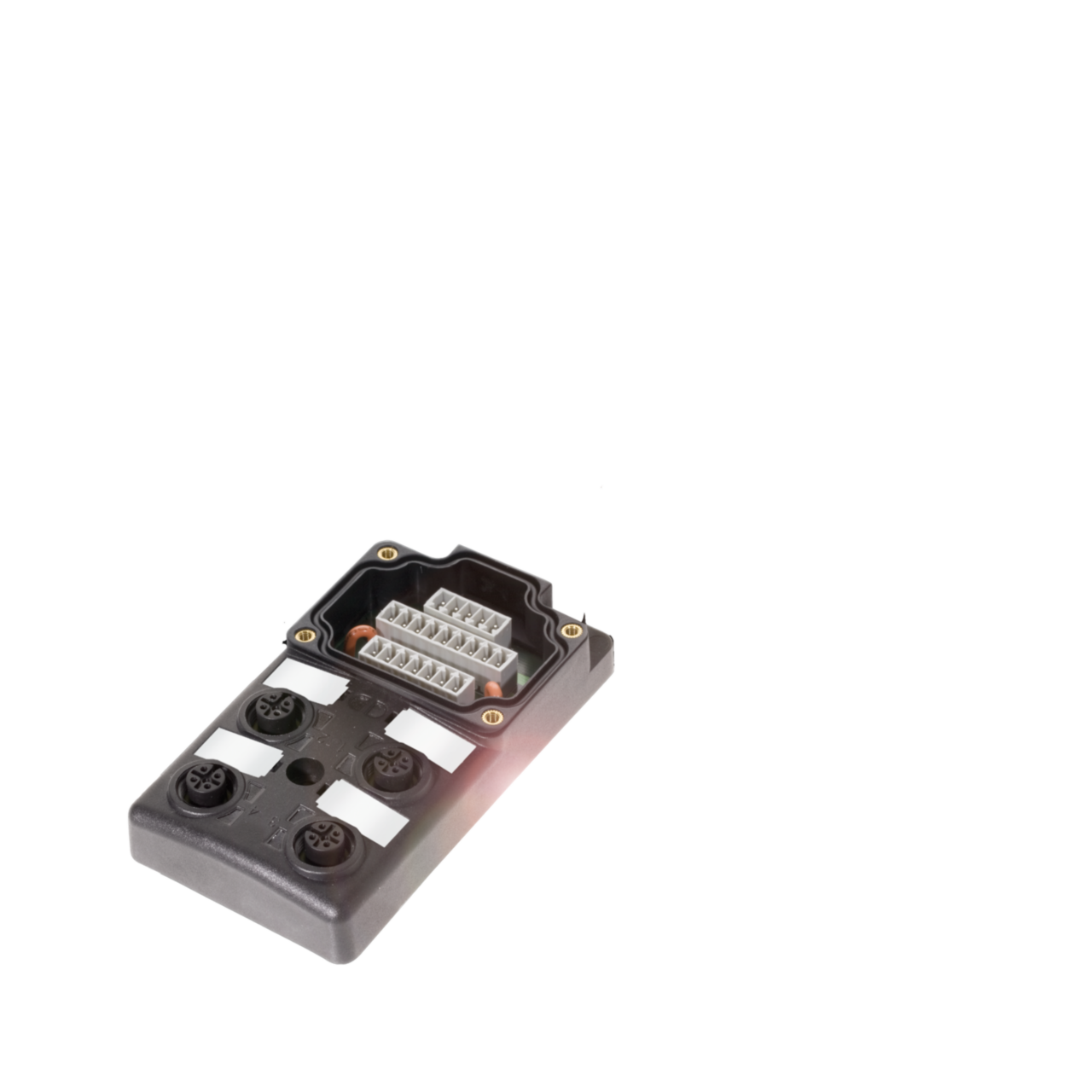 Balluff. BPI 4M4A5P-2K-00-TP0G - BPI007C