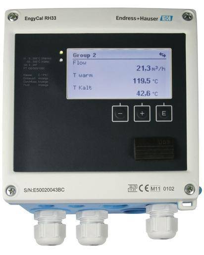 Endress Hauser RH33