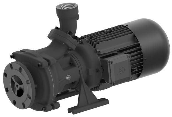 Горизонтальный всасывающий насос SBF1550 Brinkmann
