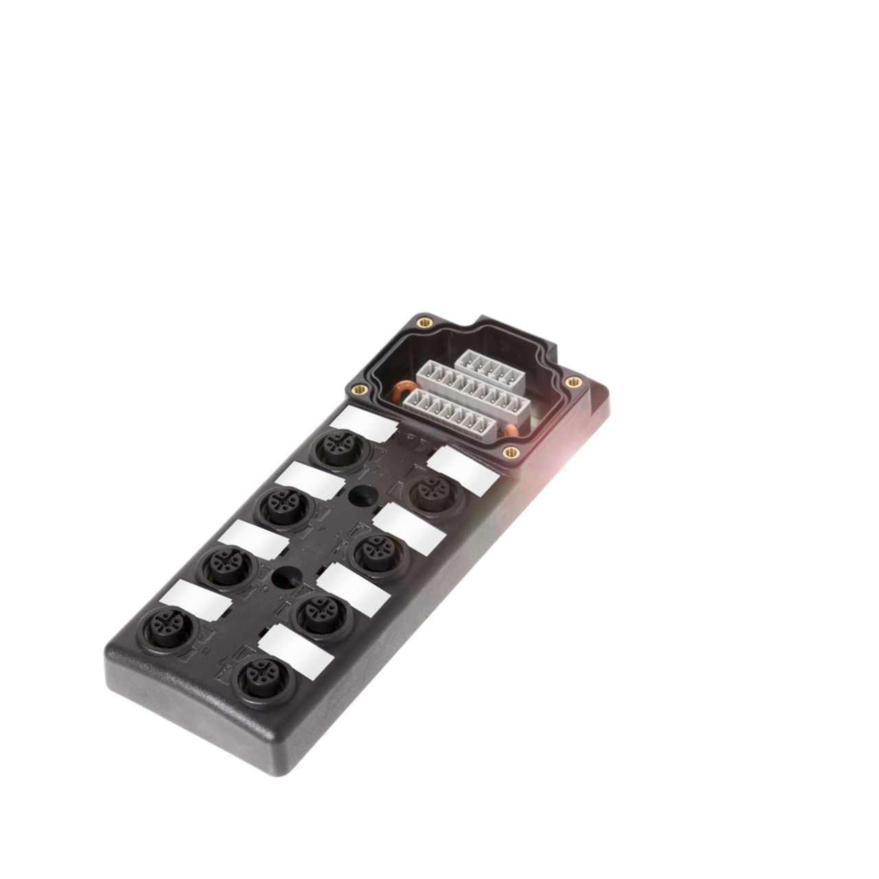 Balluff. BPI 8M4A5P-2K-00-TP0N - BPI007F