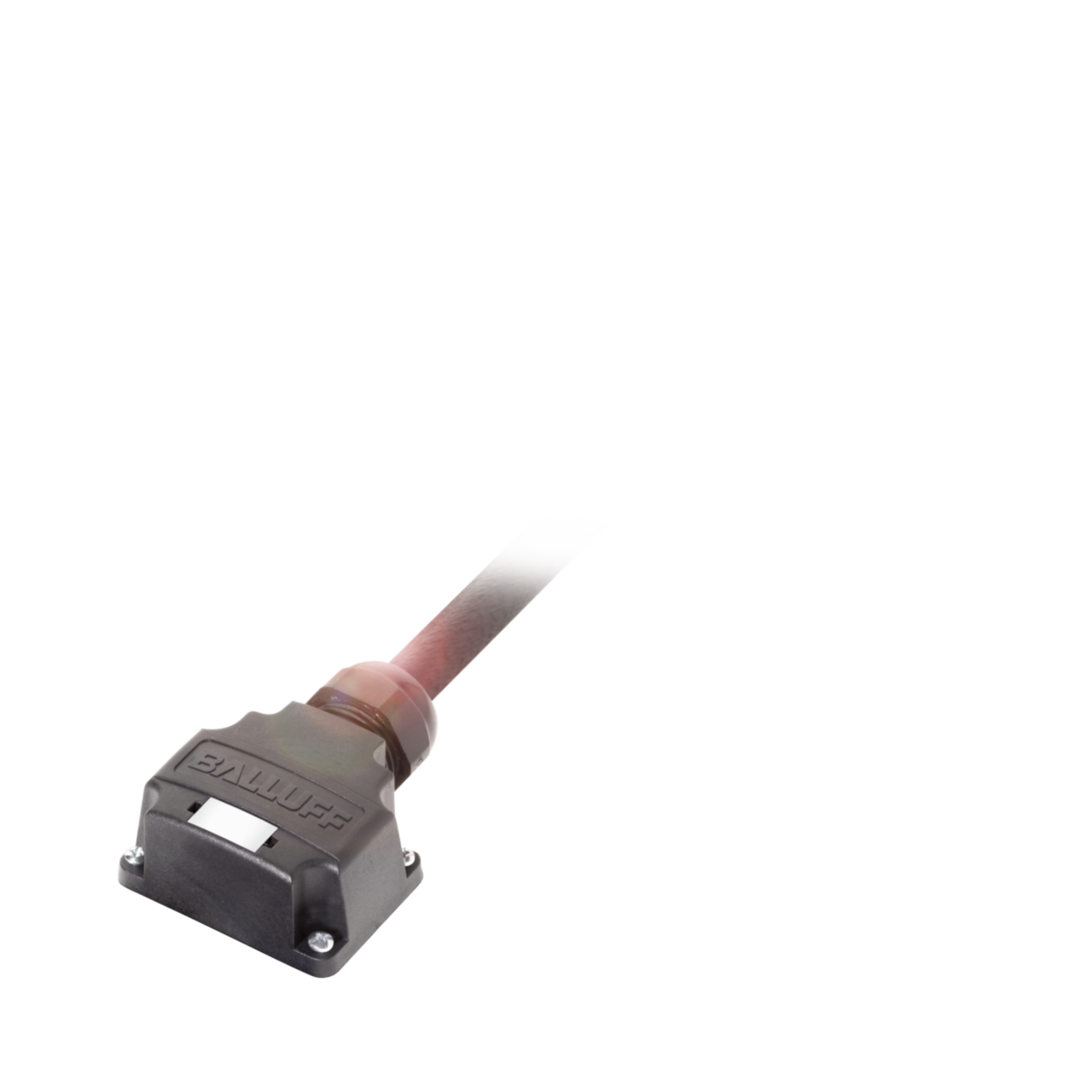 Balluff. BPI T009-K-00-KPX70-050 - BPI0080