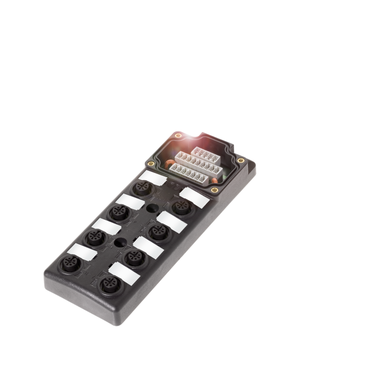 Balluff. BPI 8M4A4P-2K-00-TP0E - BPI007E